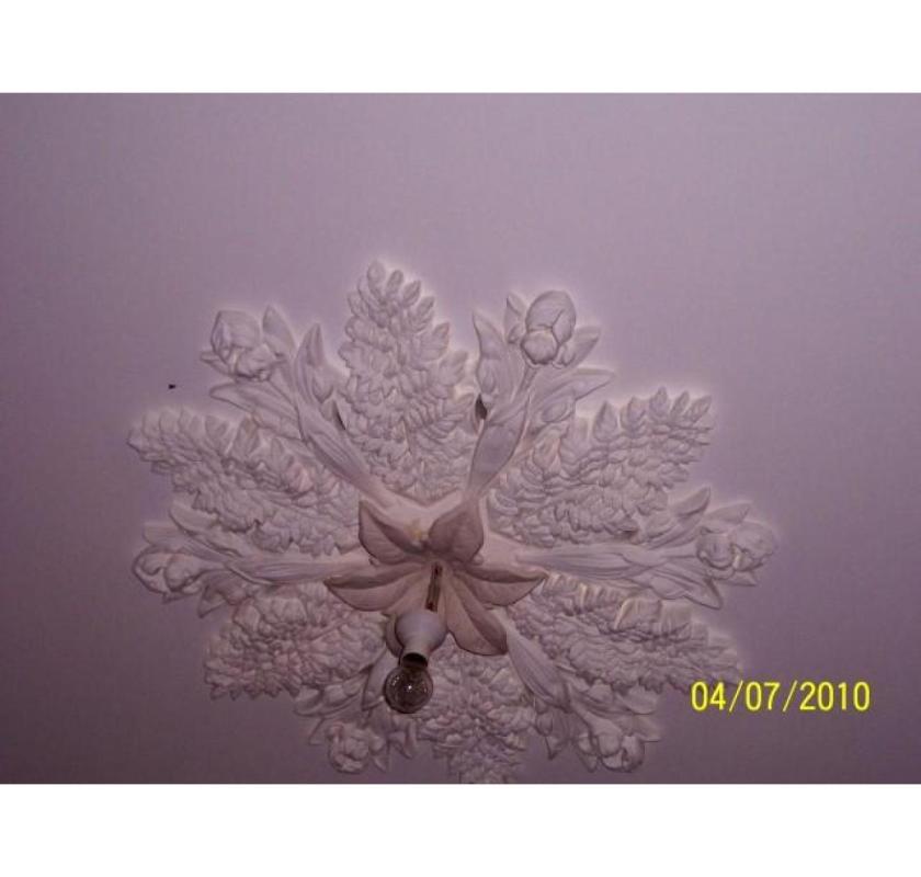 Ceiling Repairs Sydney | Sydney Wide Plastering