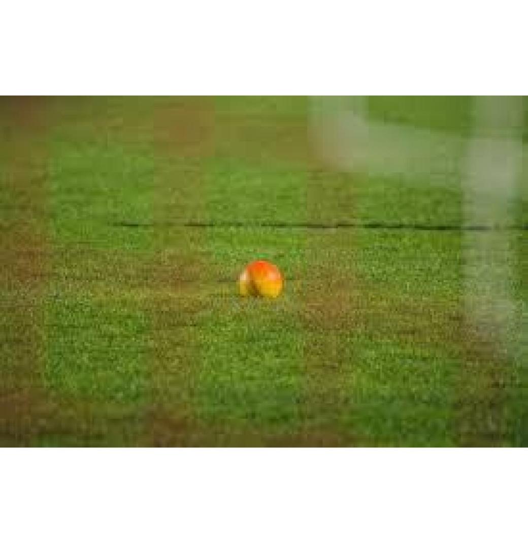 Order Custom Turf Now - Reliable Cricket Turf Manufacturer