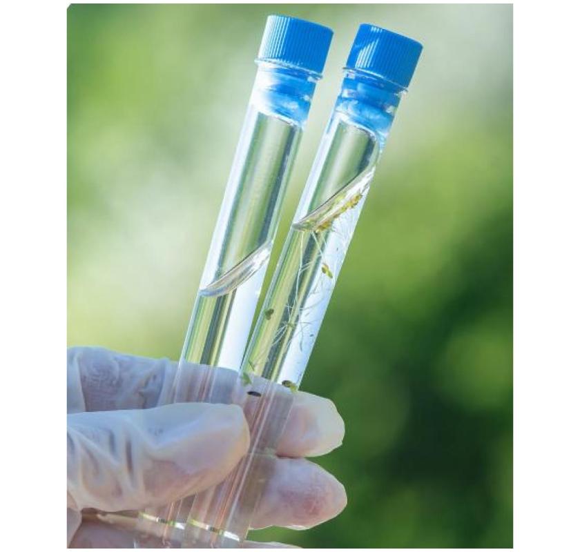 Tank Water Treatment | Transform Water