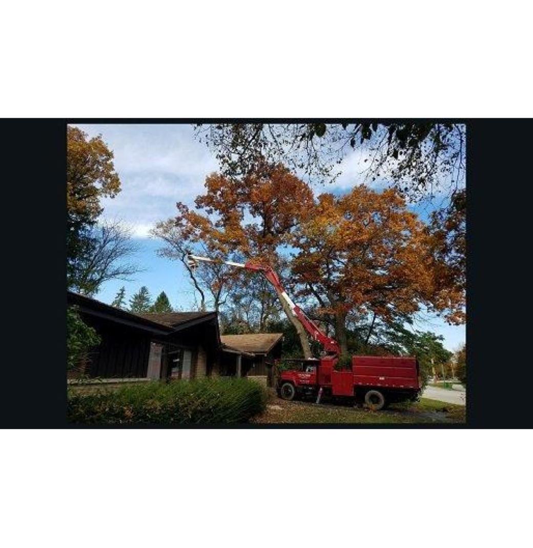Crawford Tree & Landscape Services, Inc.