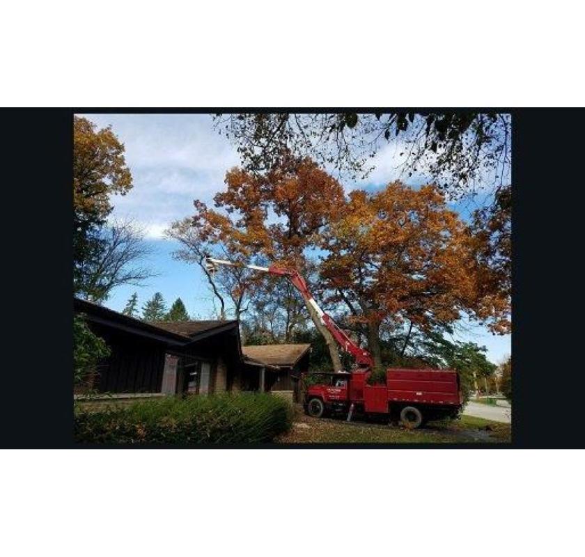 Crawford Tree & Landscape Services, Inc.