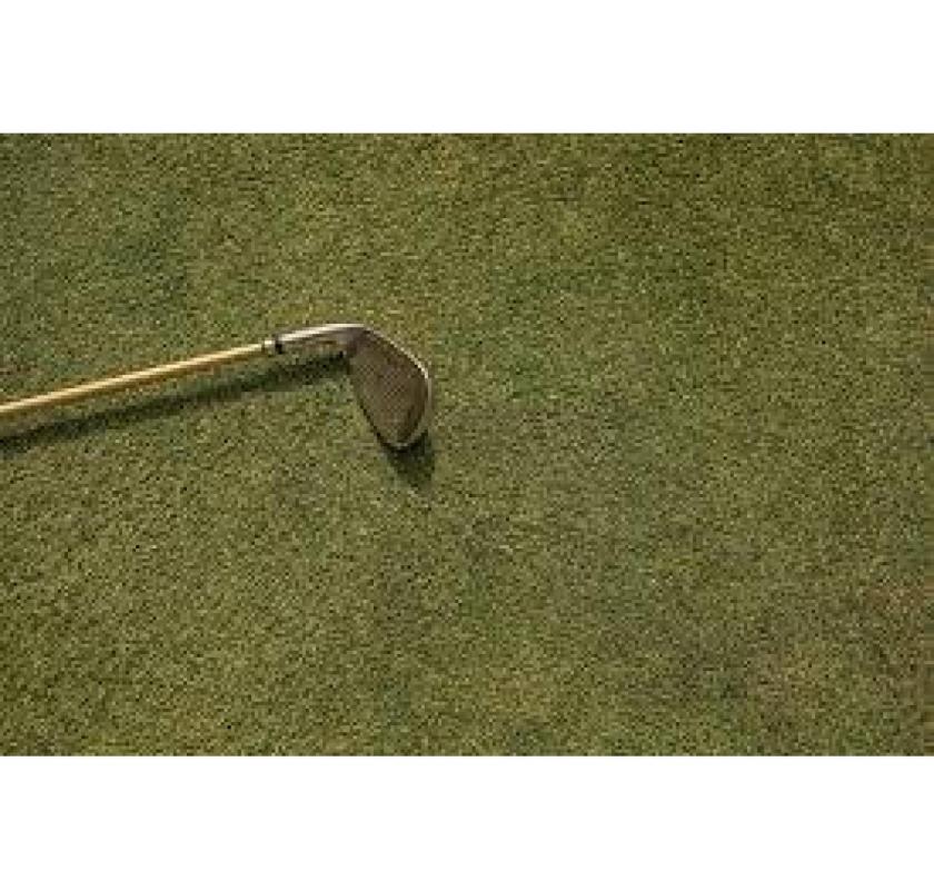 Upgrade Your Green with OSMS Turf