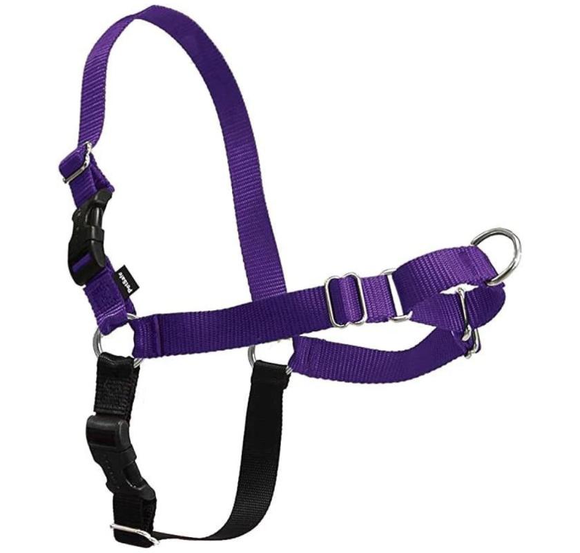 Ultimate Harness for Dog – Comfort, Safety, and Style from Dog World PR
