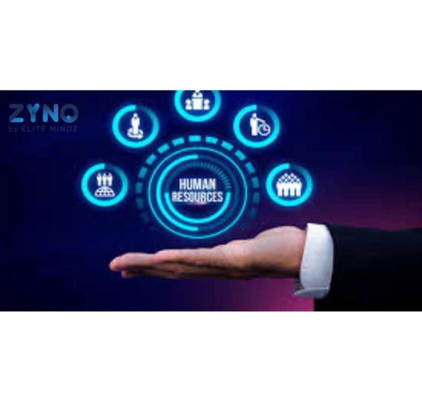 Get the Best HRMS Payroll Software for Your Business – Elite Mindz
