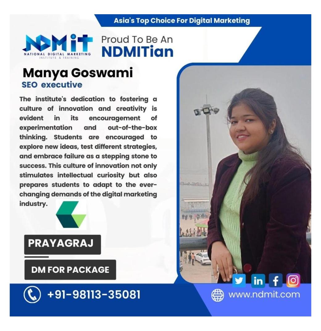 NDMIT – Advanced Digital Marketing Training in Allahabad with Certification - 2/2