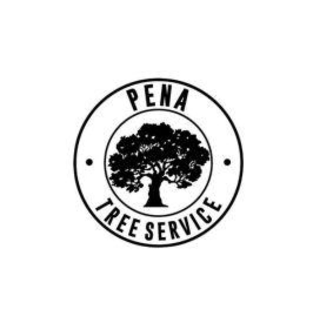 Licensed Tree Service in San Diego County | Pena Tree Services