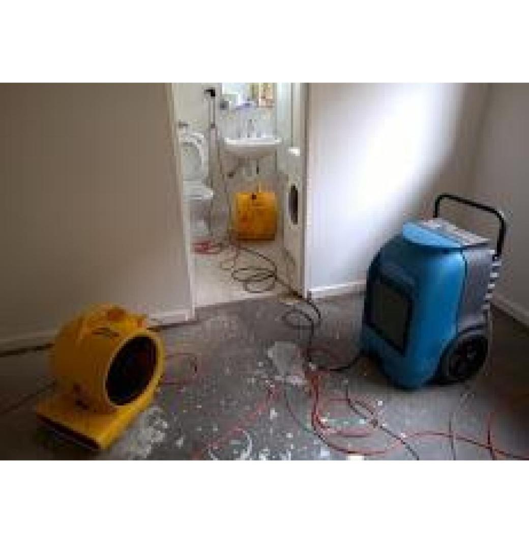 Best Flood Damage Service Company