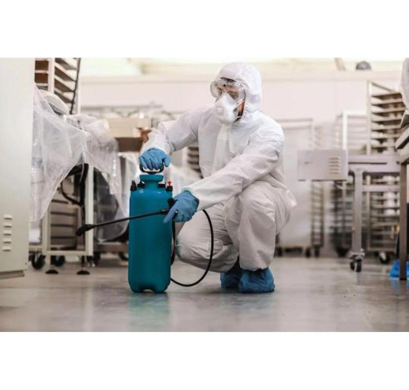 Top-Rated Rodent Control Services Near Me - Trusted Pest Experts in UAE