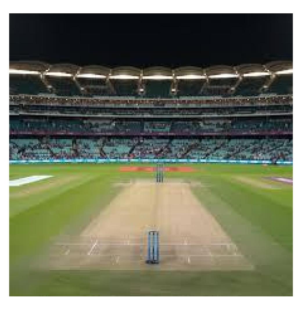 Cricket Turf Manufacturer - Build Your Dream Pitch Today