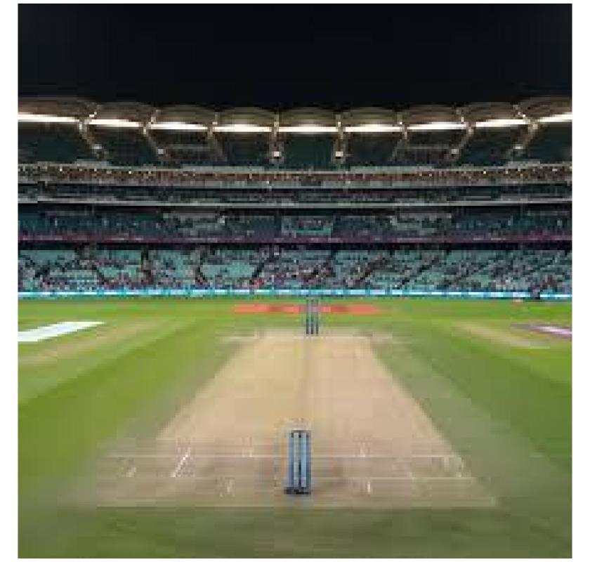 Cricket Turf Manufacturer - Build Your Dream Pitch Today