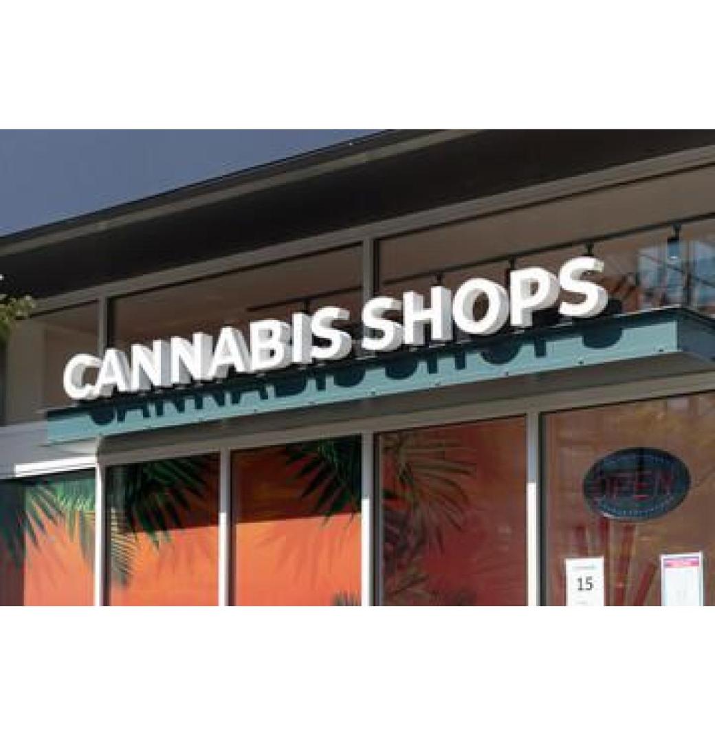 Cannabis Store Trenton – Paradise Cannabis