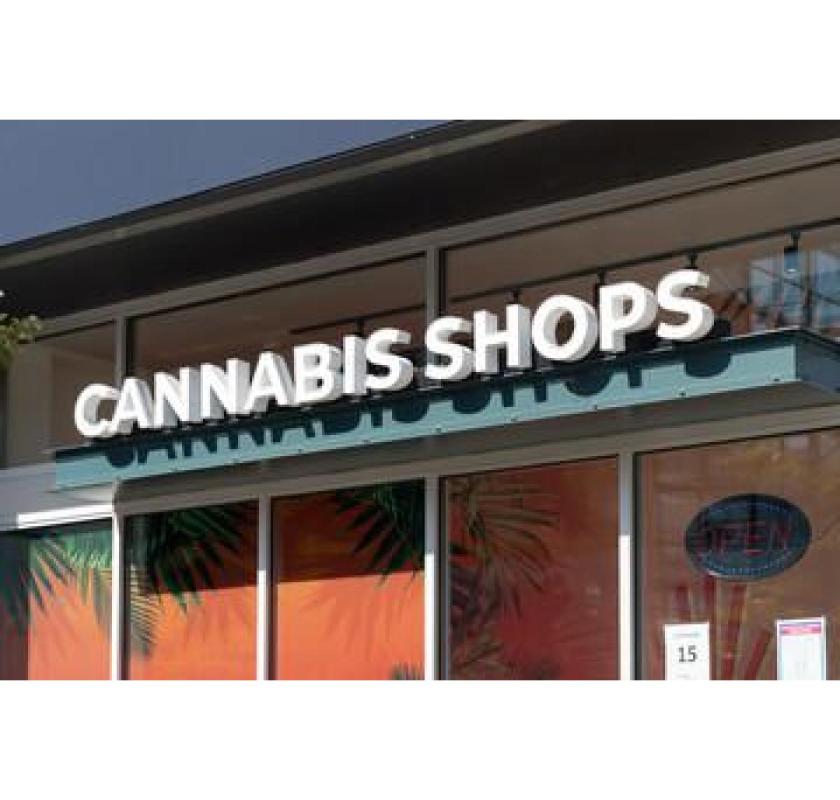 Cannabis Store Trenton – Paradise Cannabis