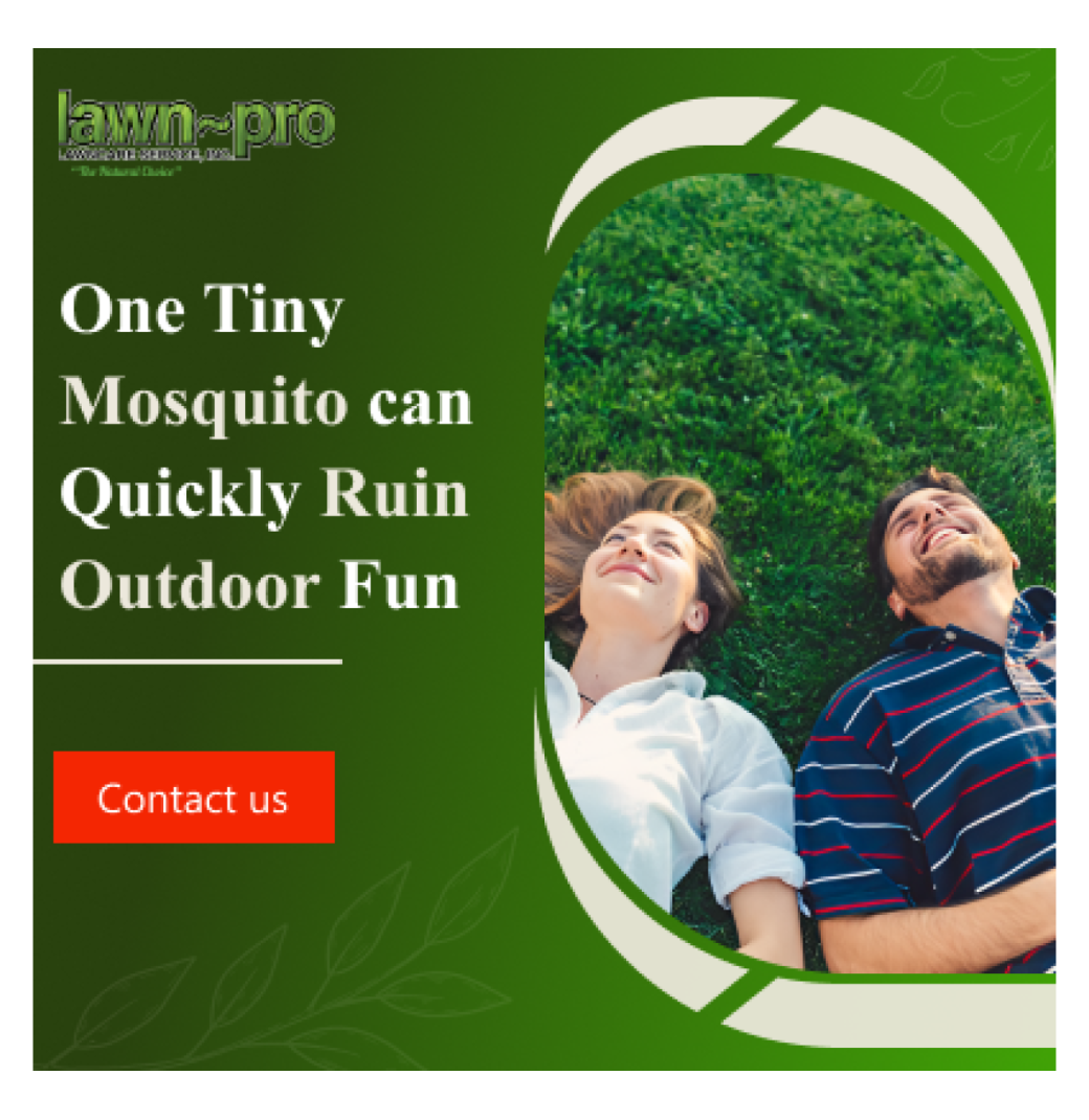 Lawn-Pro Lawncare Service - 2/3