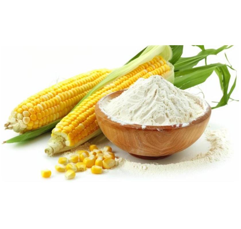 ISO-Certified Maize Starch Manufacturer in India – Best Prices Guaranteed