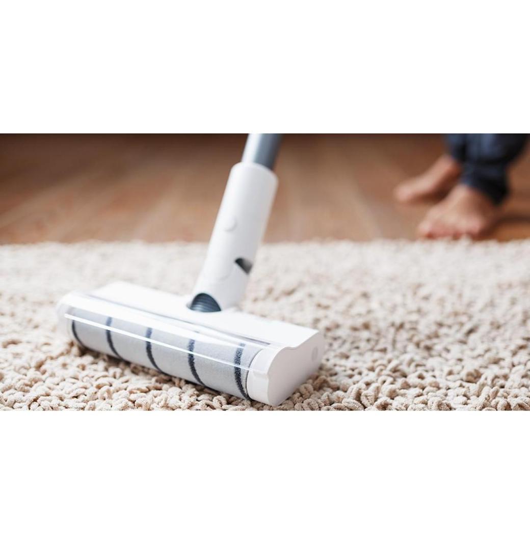 What Is a Professional Rug Cleaning Service? - 3/3