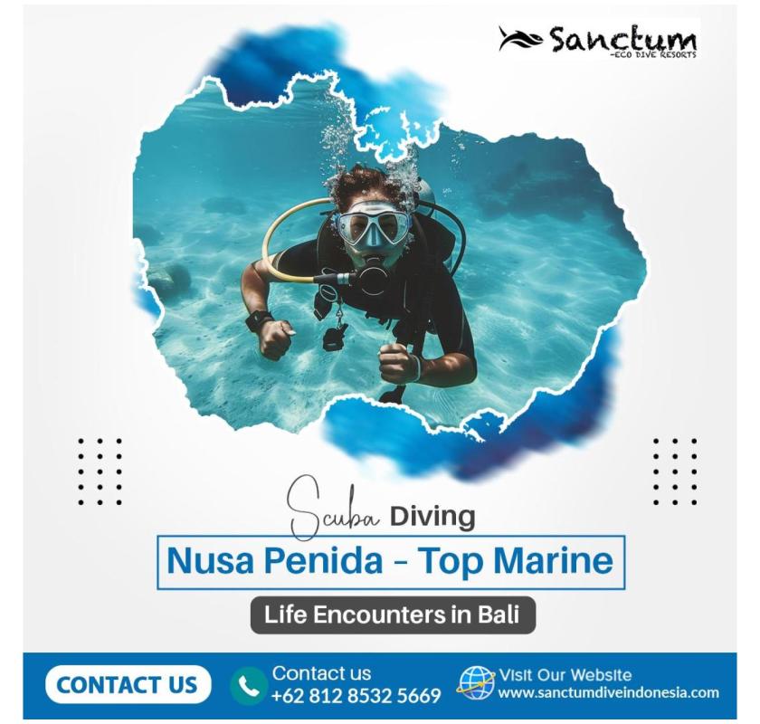 Scuba Diving Nusa Penida – Top Marine Life Encounters in Bali