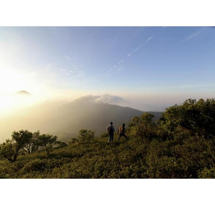 Experience Luxury at Tamara Coorg | A 5 Star Nature Resort in India | Luxury Getaways