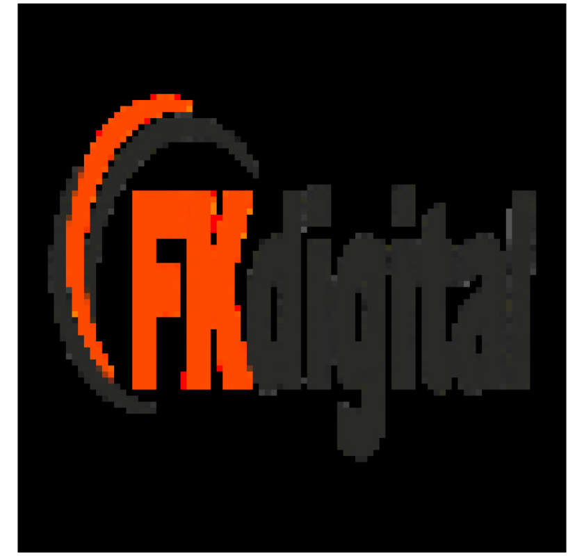 Leading SEO agency in India