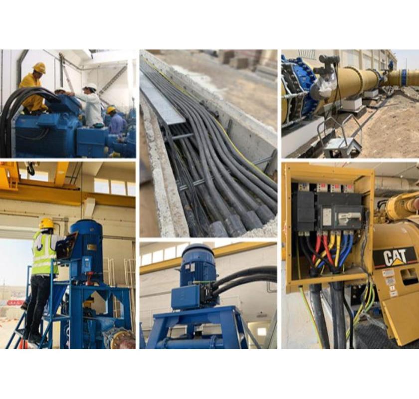 Reliable Electrical Motors Overhaul and Services