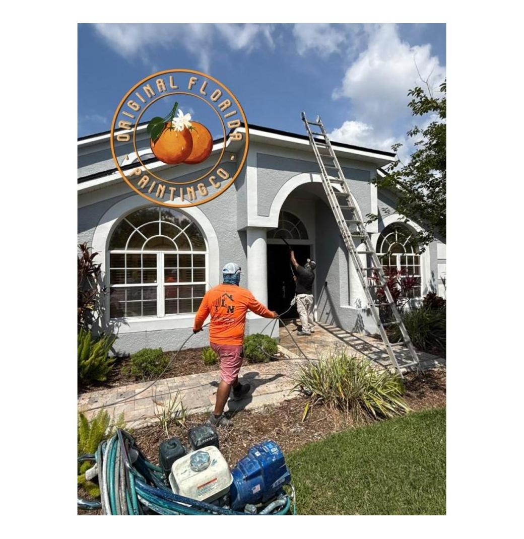 Transform Your Home Fast with Top Tampa Exterior Painters - 2/2
