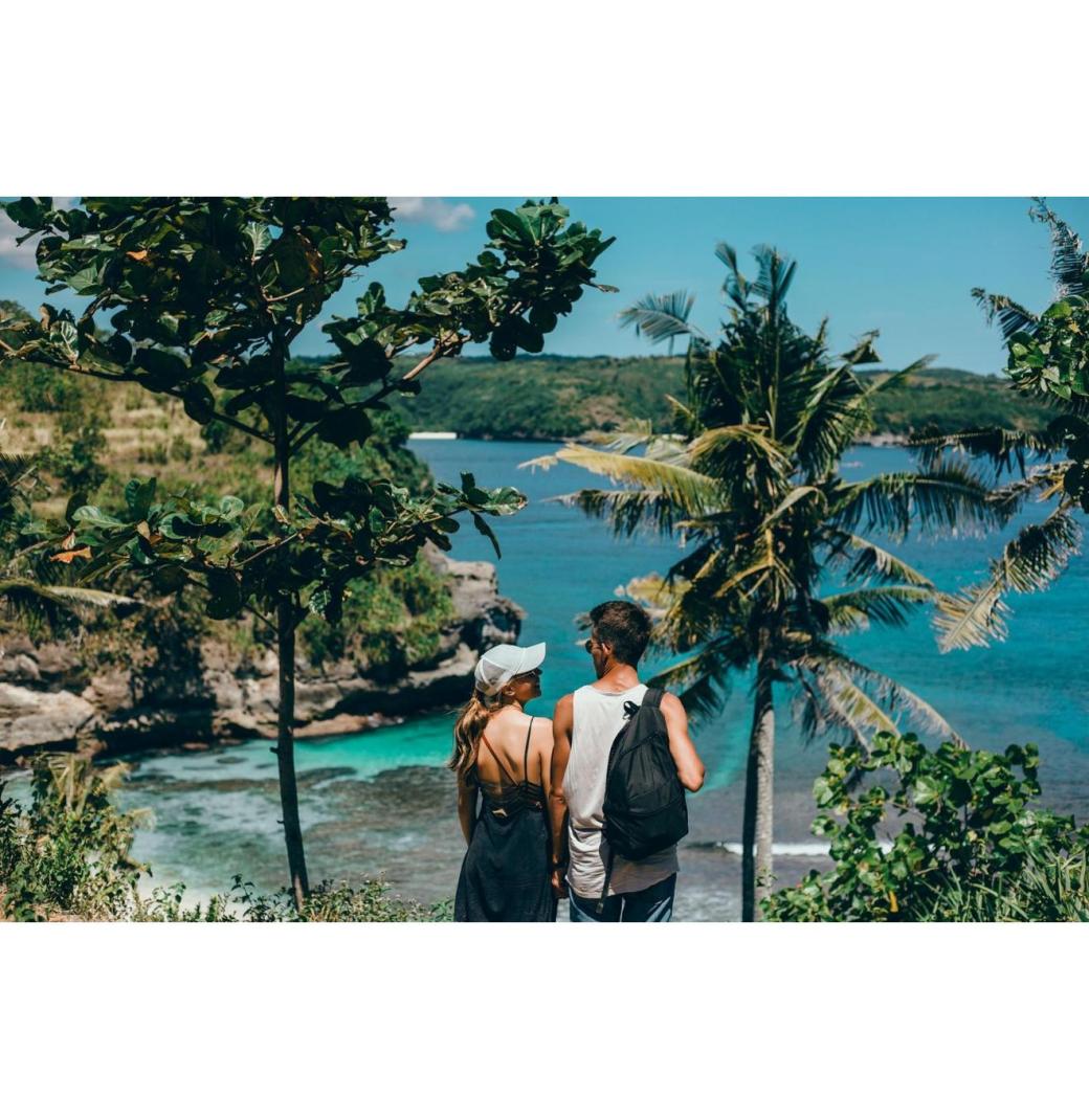 Unforgettable Cancun Whale Shark Tours with Amstar