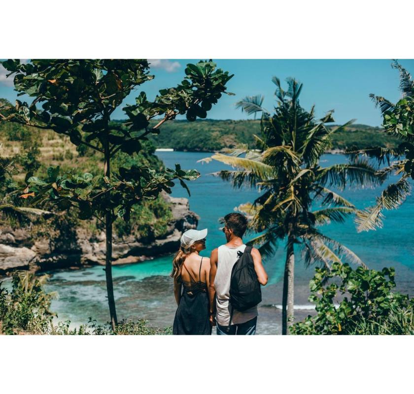 Unforgettable Cancun Whale Shark Tours with Amstar