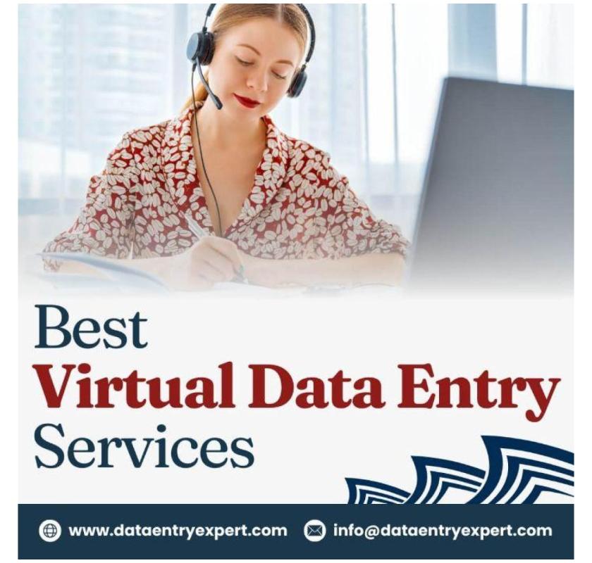 Best Virtual Assistant Data Entry Services in India