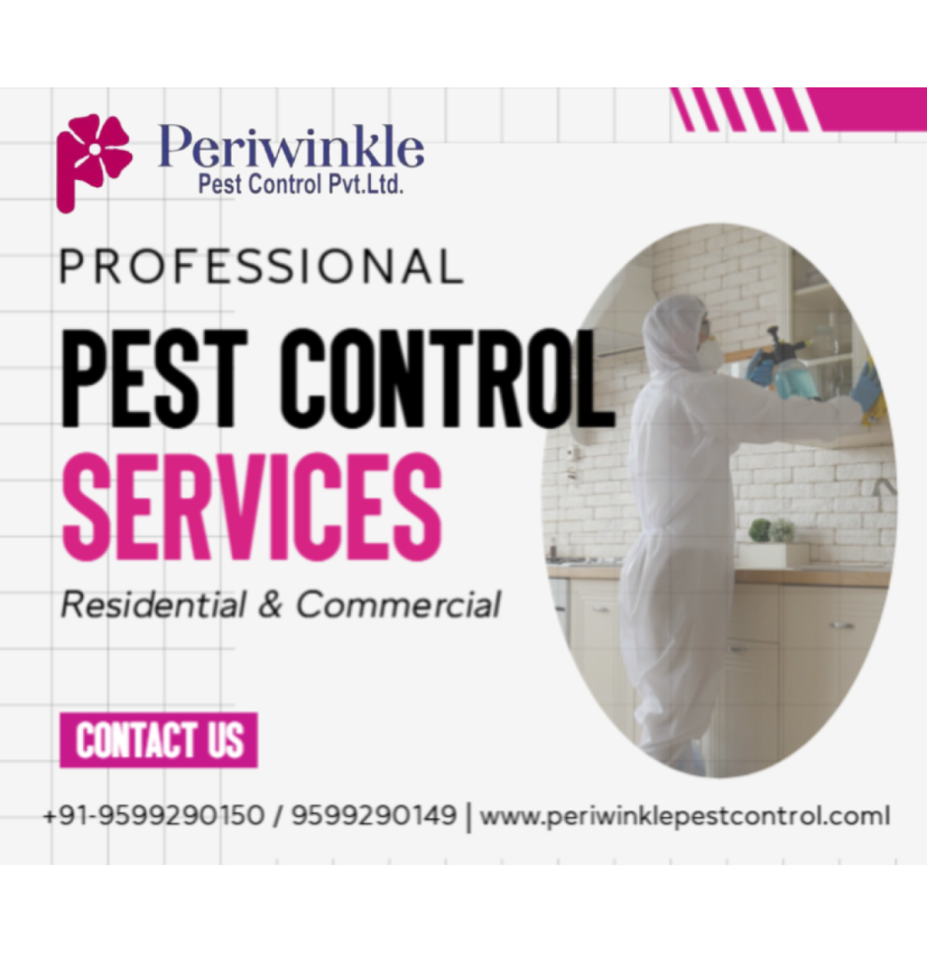 Residential Pest Control Services for Safe Homes in Greater Noida