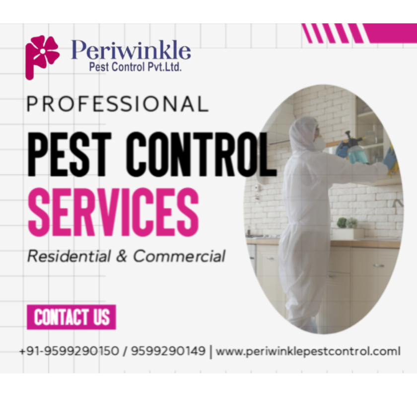 Residential Pest Control Services for Safe Homes in Greater Noida