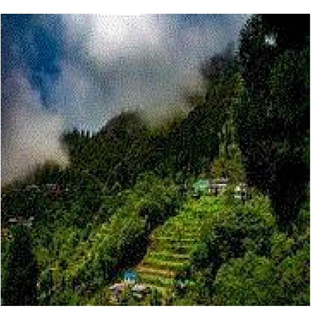 Cruise the mighty Brahmaputra with Assam Bengal Navigation- CruiseBay 