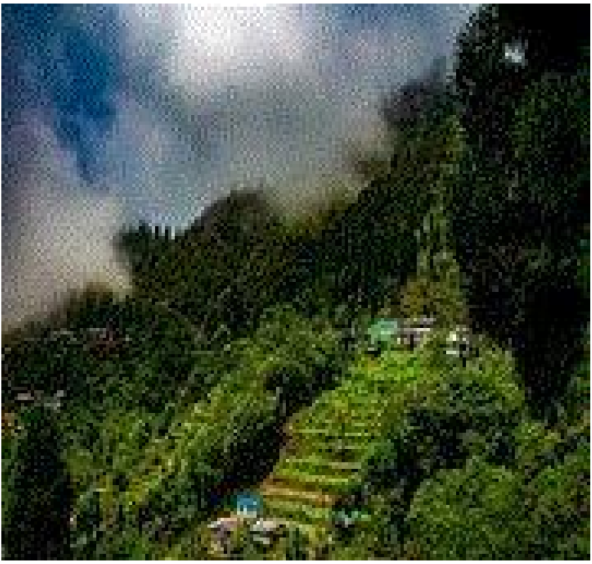 Cruise the mighty Brahmaputra with Assam Bengal Navigation- CruiseBay 