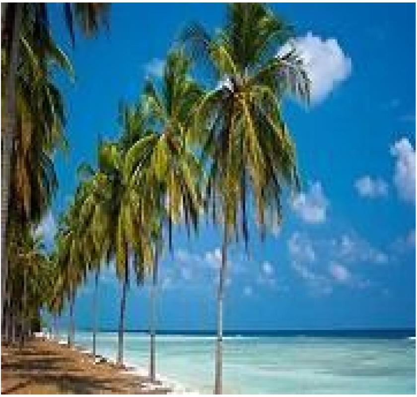Explore India’s West Coast with Cordelia Cruises - CruiseBay 