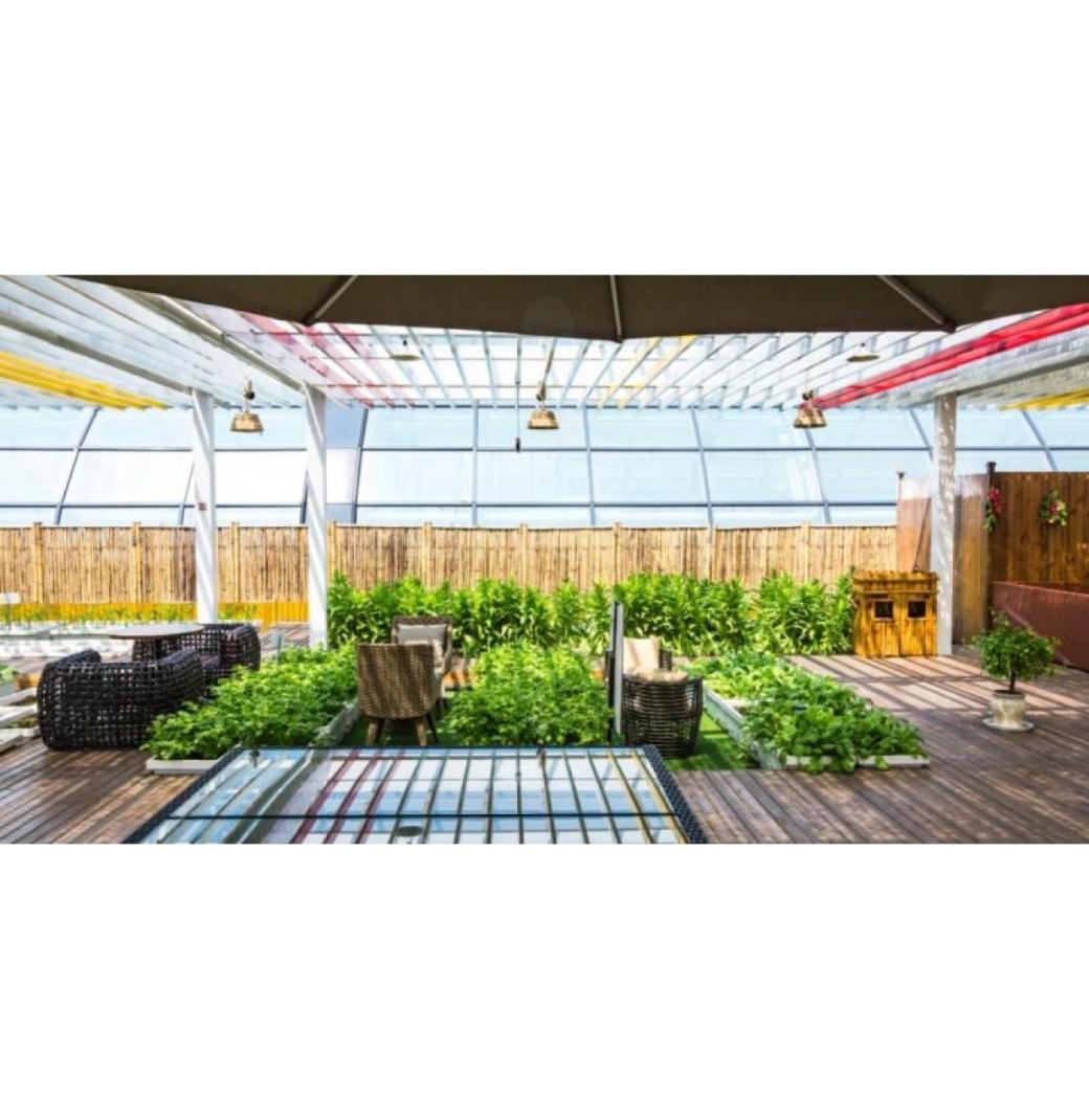 Stylish Lattice Patio Cover for Shade and Outdoor Comfort