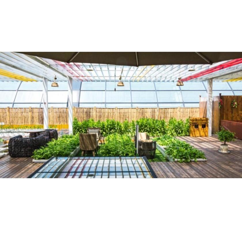 Stylish Lattice Patio Cover for Shade and Outdoor Comfort