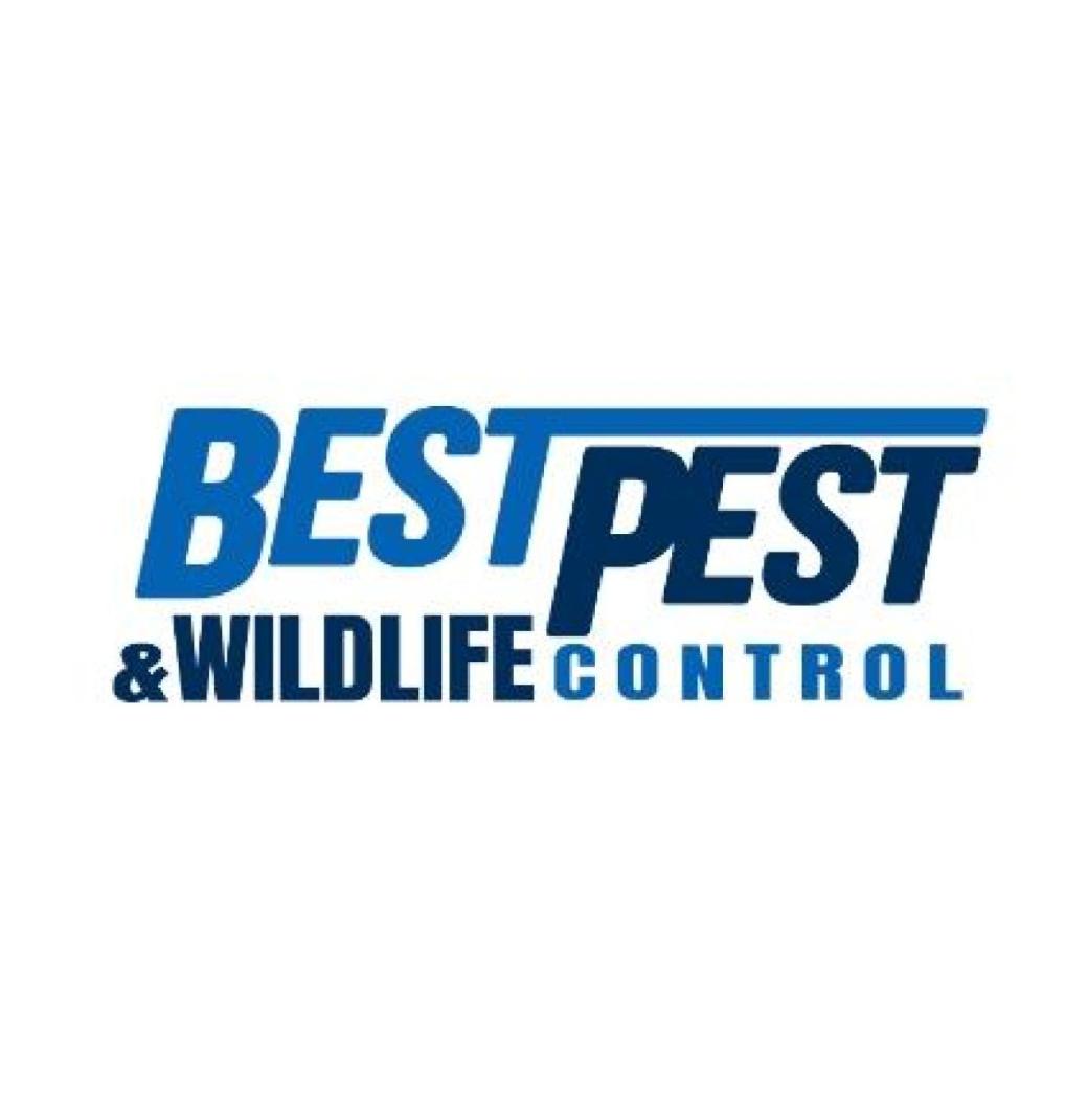 Best Pest & Wildlife Control - 1/3
