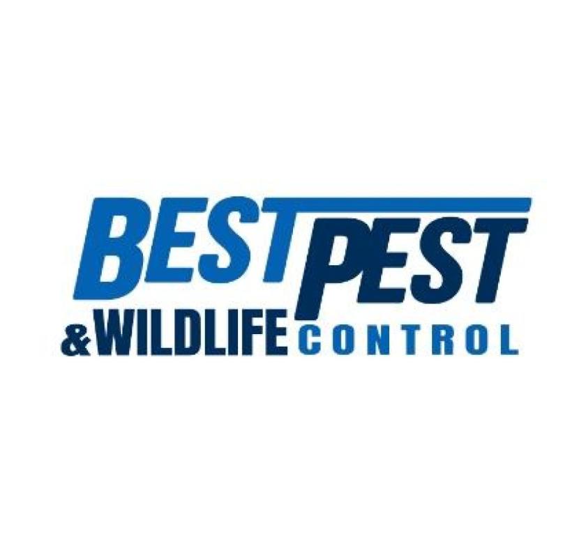 Best Pest & Wildlife Control