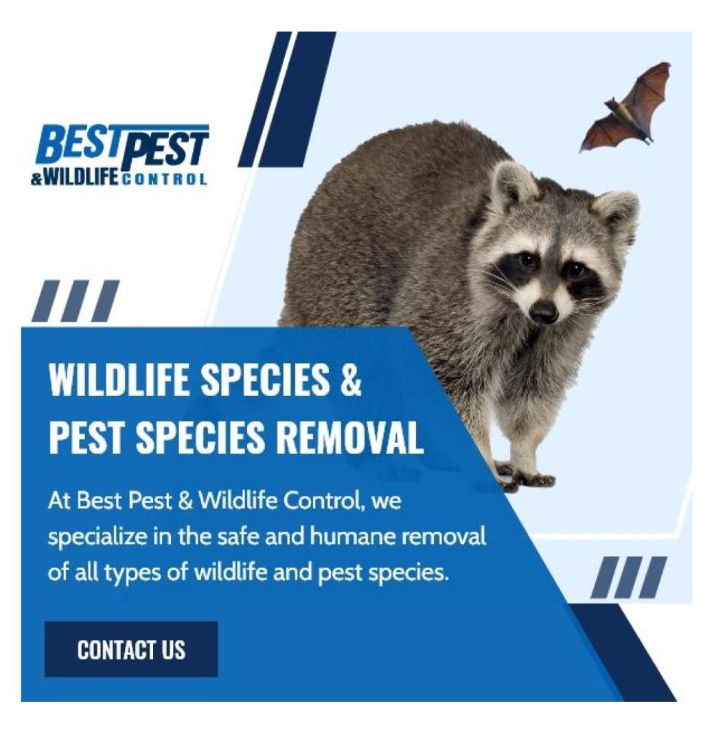 Best Pest & Wildlife Control - 2/3