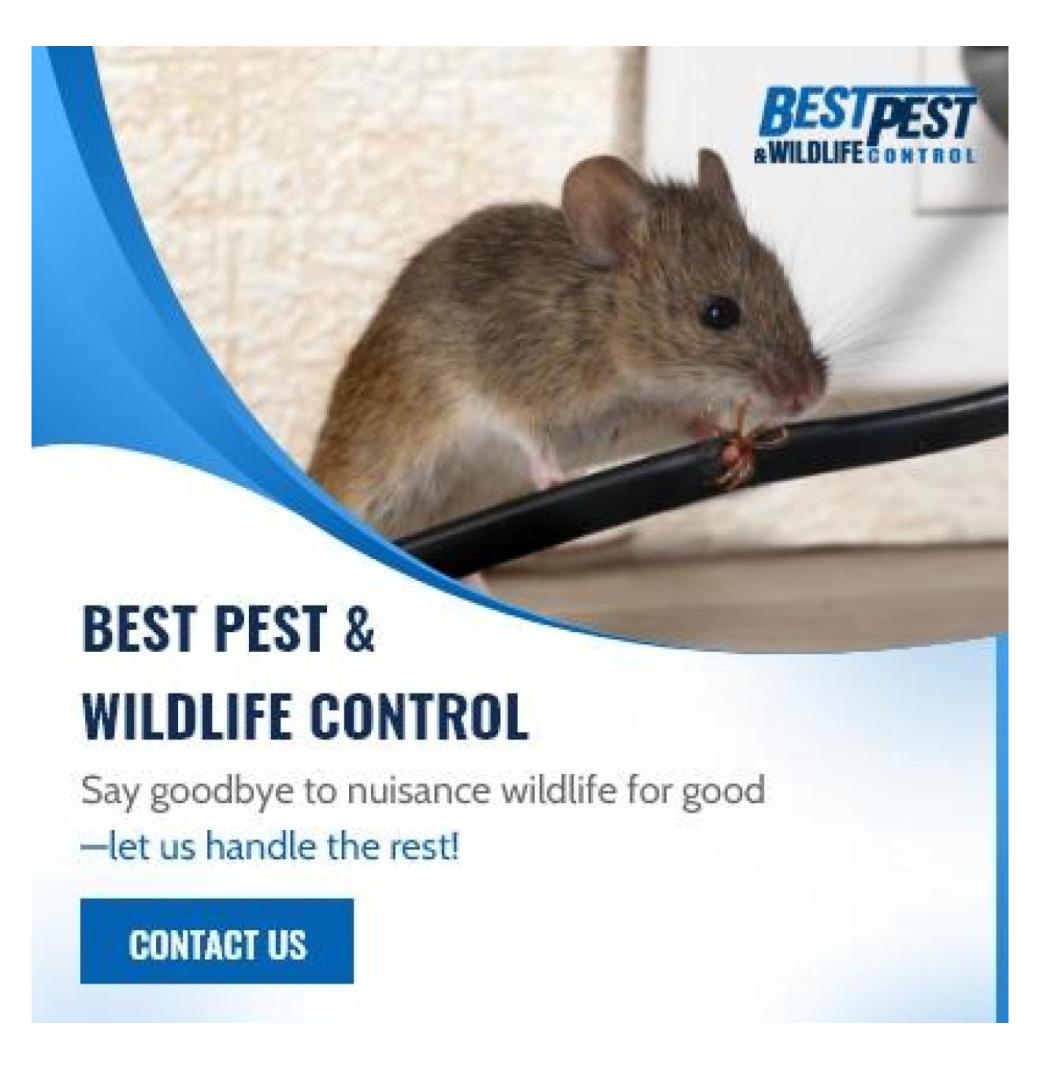 Best Pest & Wildlife Control - 3/3