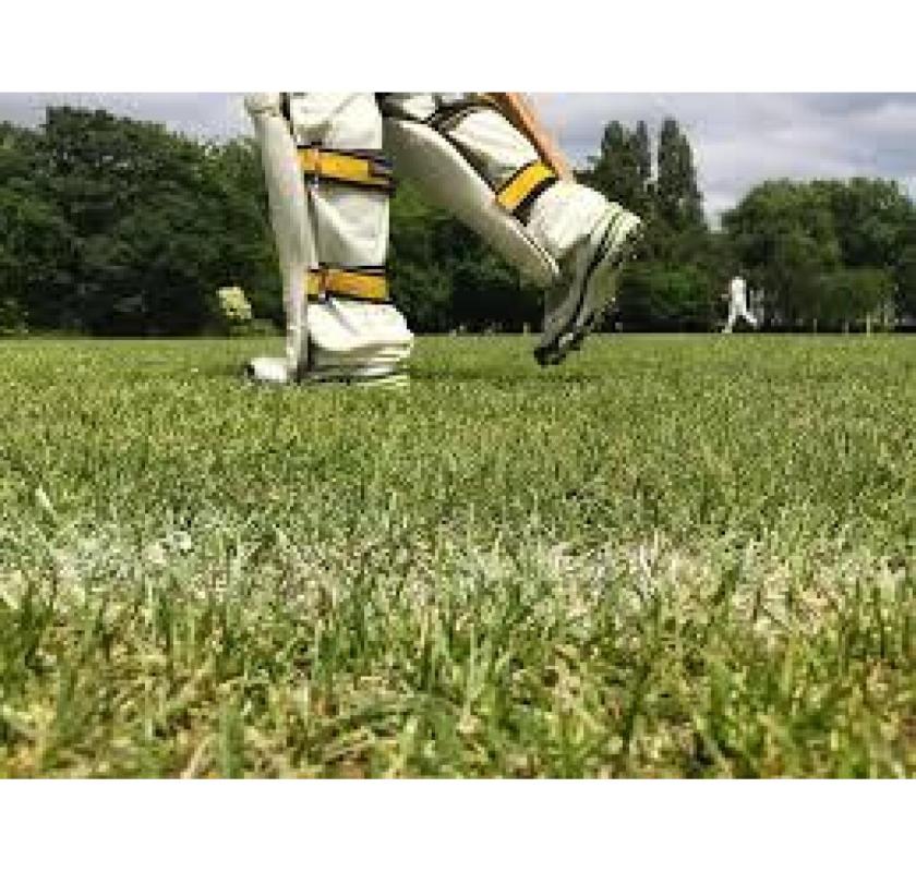 Build Pro-Quality Cricket Fields Today - Choose OSMS Turf