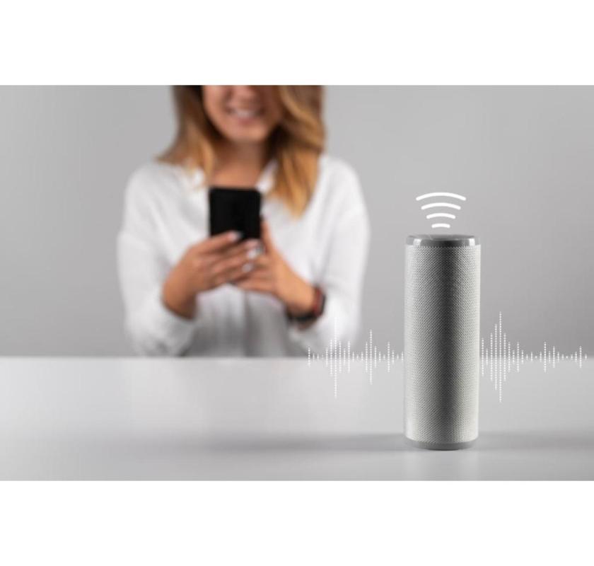 Voice OTP service provider