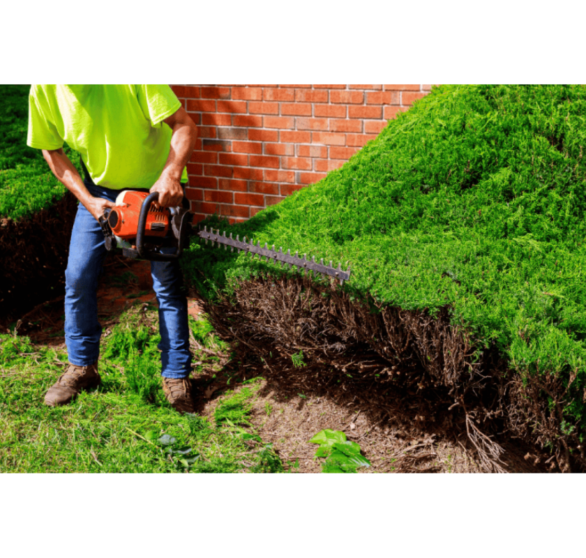 Skill Wide Projects Offering Trusted Landscaping Services in Sydney