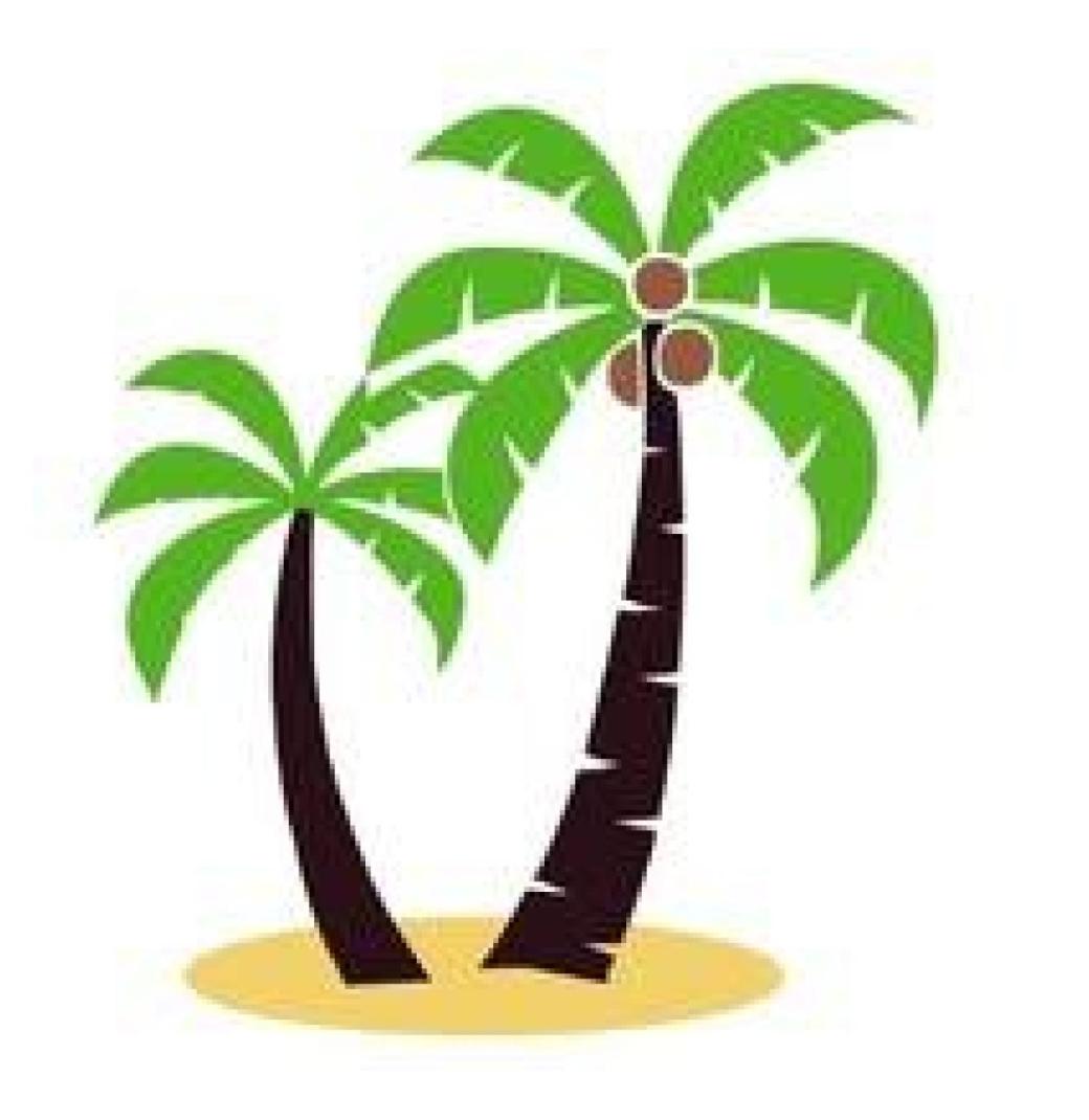 Digital Strategy & Web Development | Palms Media