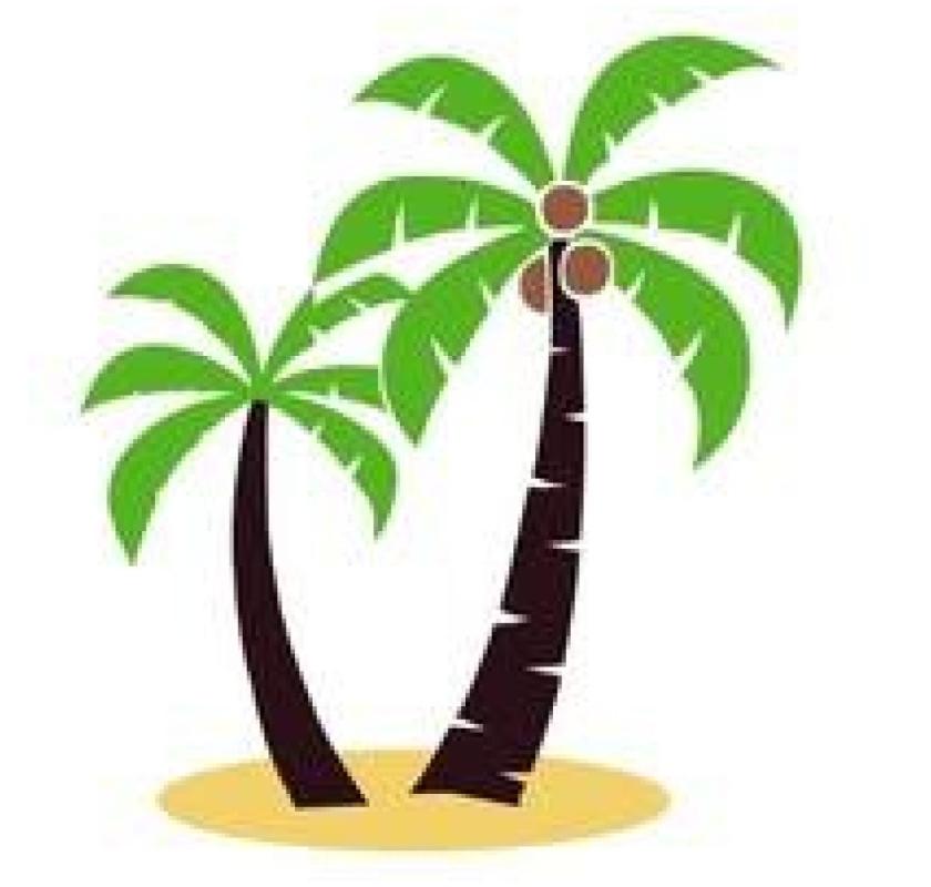 Digital Strategy & Web Development | Palms Media