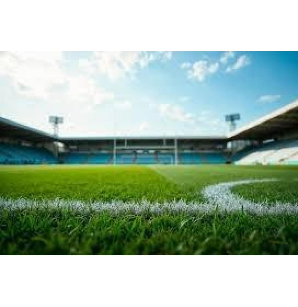 Transform Your Pitch - Contact Top Cricket Turf Manufacturer Now