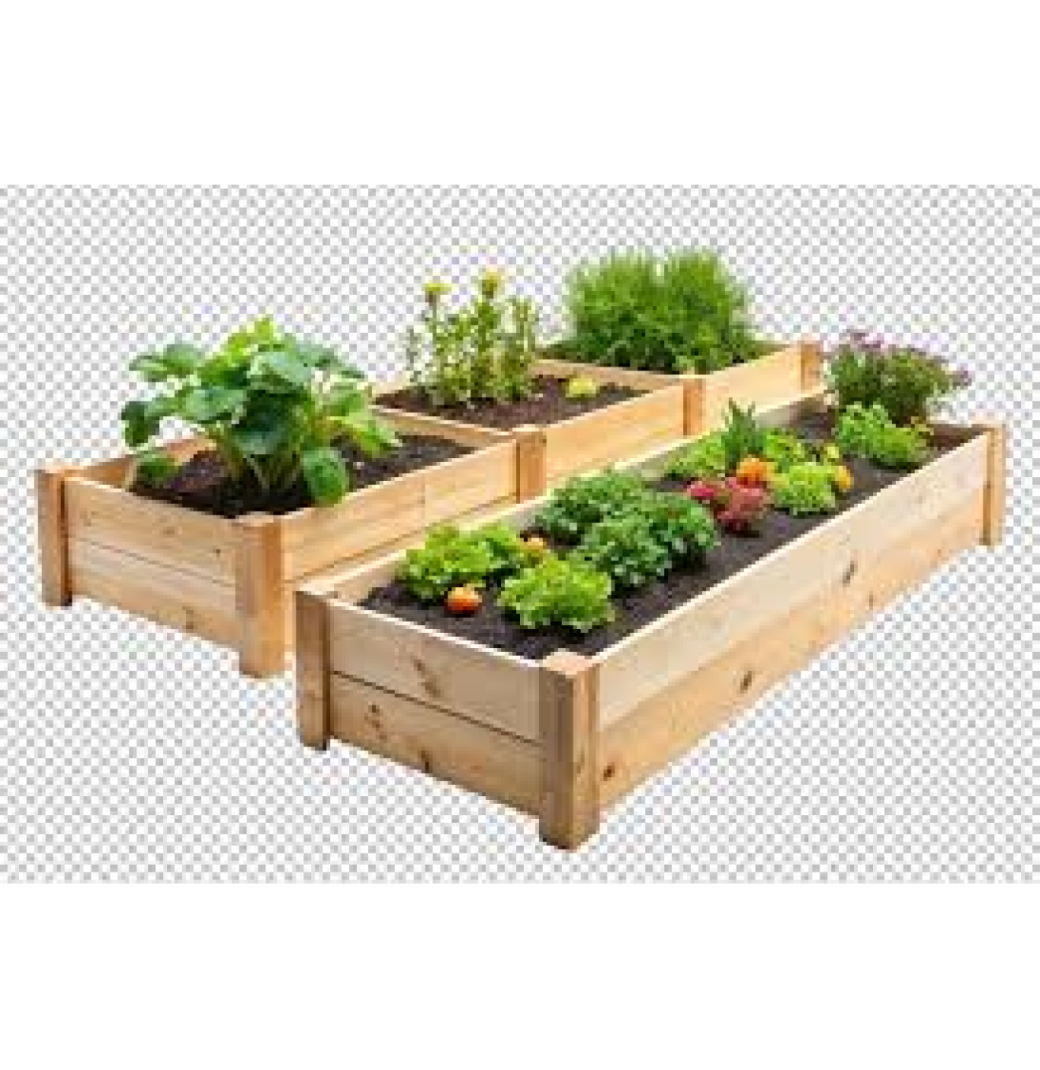 Seed Planting Trays
