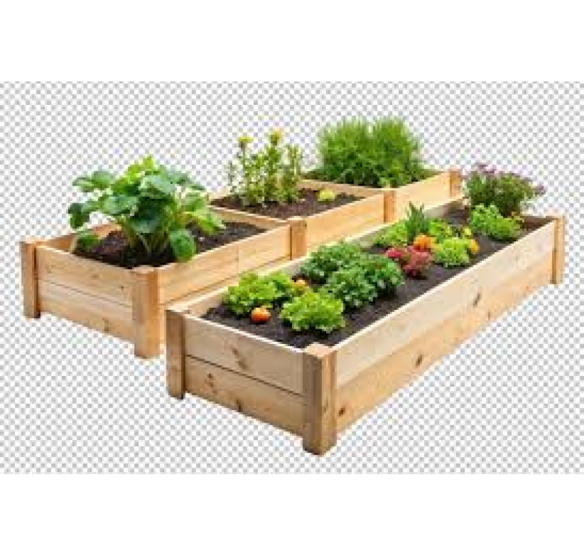 Seed Planting Trays