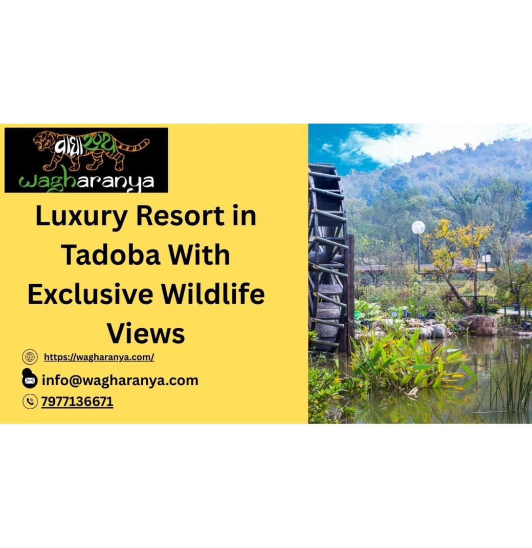 Luxury Resort in Tadoba With Exclusive Wildlife Views