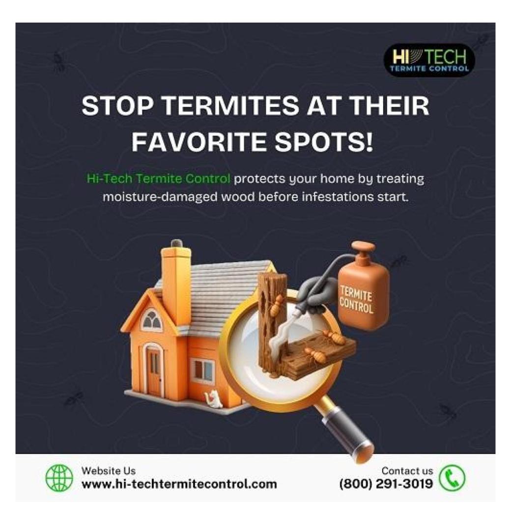 Stop termites at their favorite spots! 