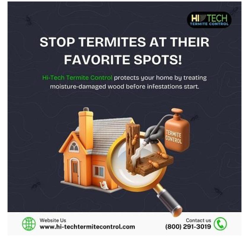 Stop termites at their favorite spots! 