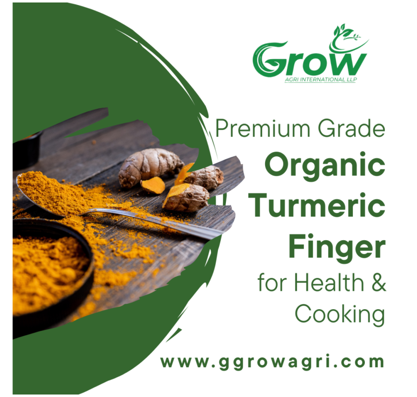 Premium Grade Organic Turmeric Finger for Health & Cooking